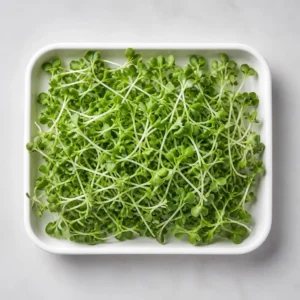 Broccoli Raab
