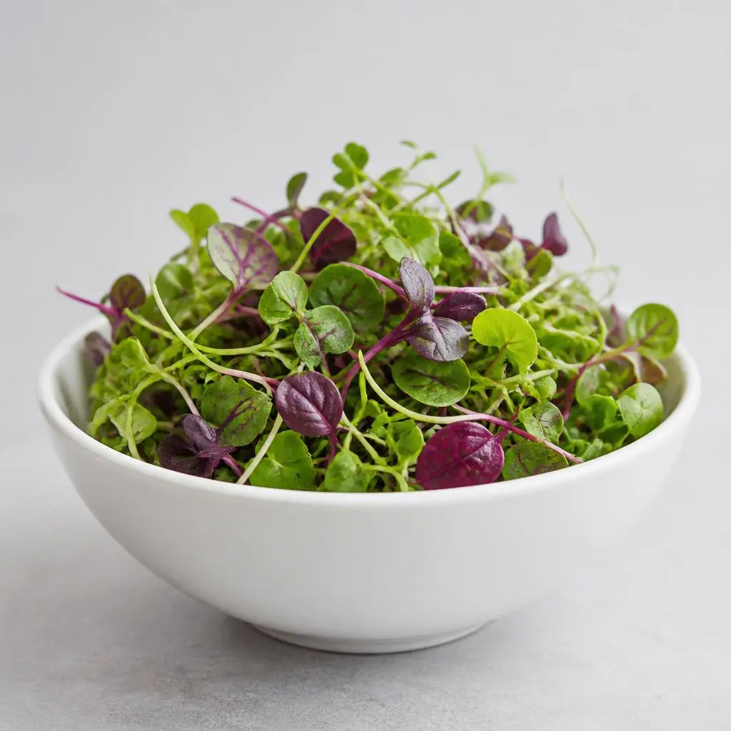 IIF Fresh Mix